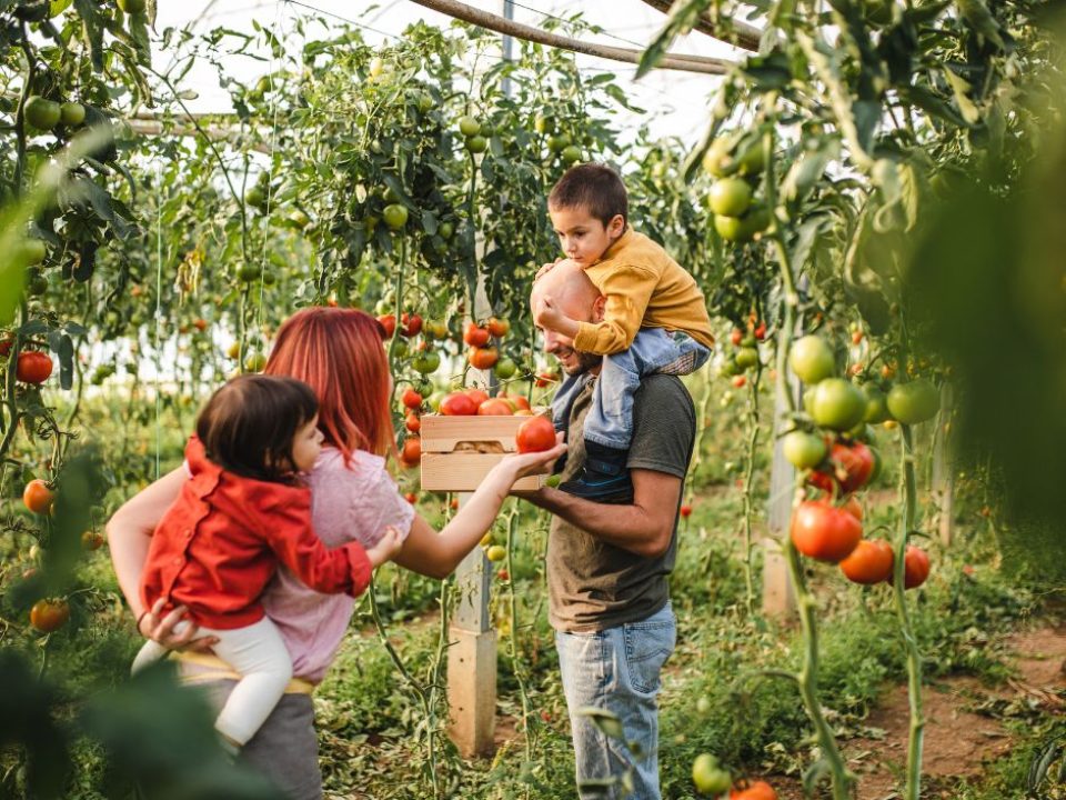 spalovač kalorií- zahradničení