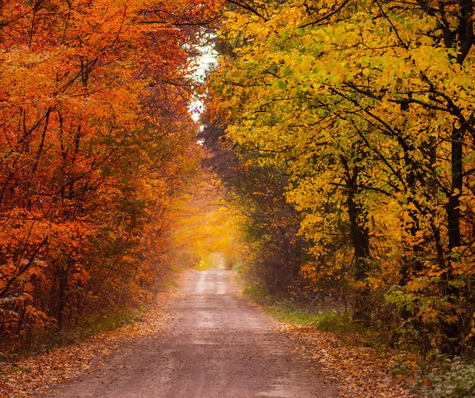 Zdravé tělo a dušičky